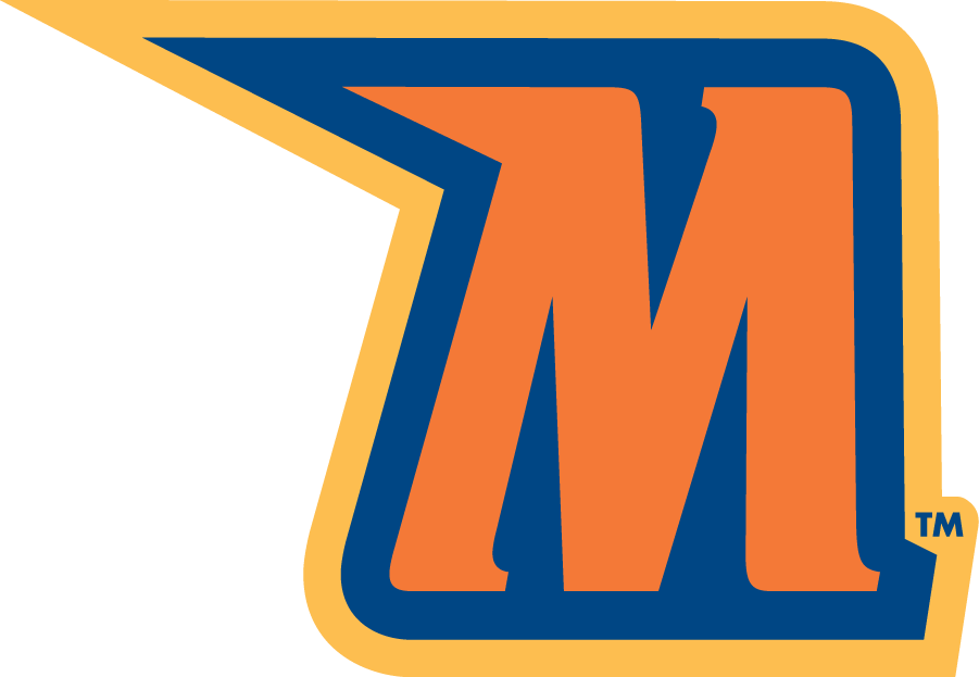 Morgan State Bears 2002-Pres Alternate Logo v3 DIY iron on transfer (heat transfer)